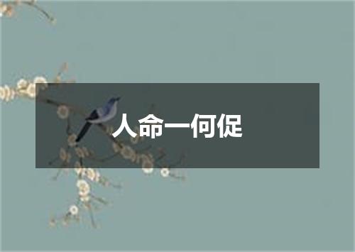 人命一何促