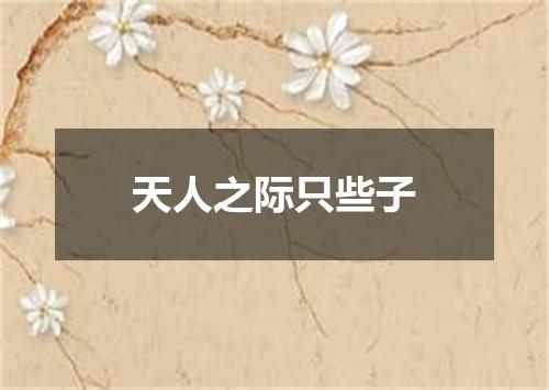 天人之际只些子