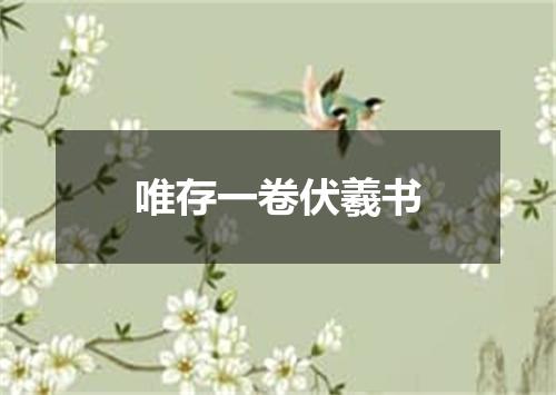 唯存一卷伏羲书