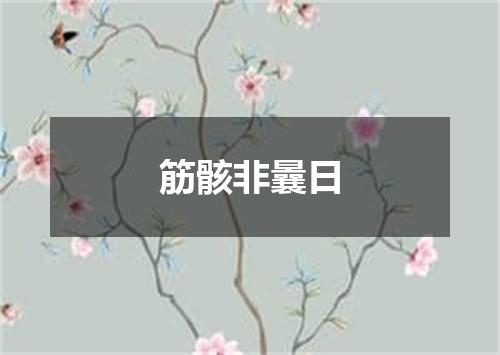 筋骸非曩日