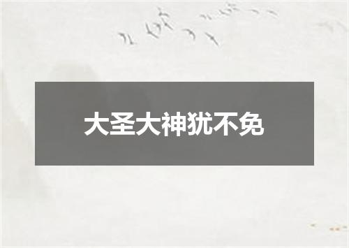 大圣大神犹不免