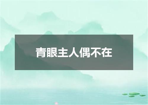 青眼主人偶不在