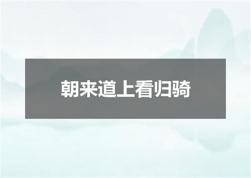 朝来道上看归骑