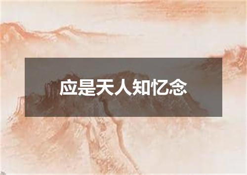 应是天人知忆念