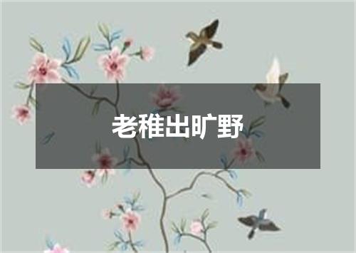 老稚出旷野