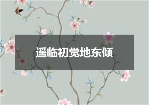遥临初觉地东倾