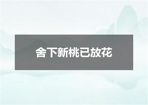 舍下新桃已放花