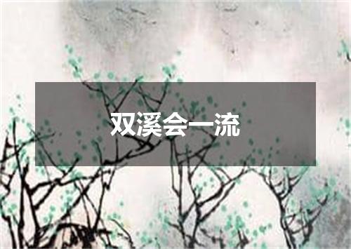 双溪会一流