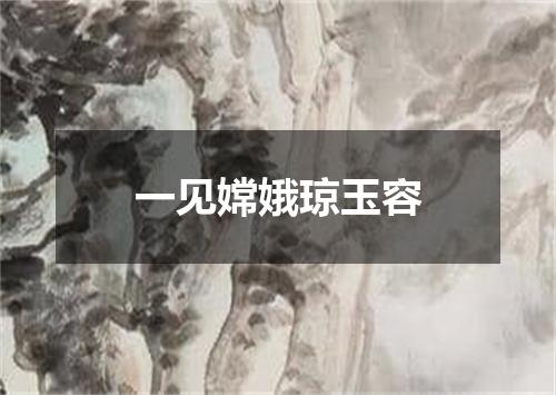 一见嫦娥琼玉容