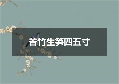苦竹生笋四五寸