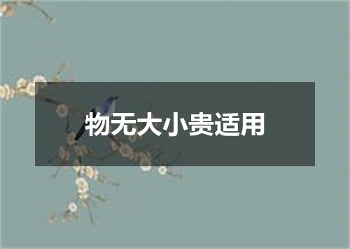 物无大小贵适用