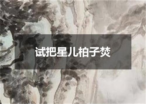 试把星儿柏子焚