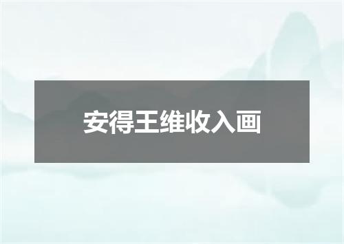 安得王维收入画