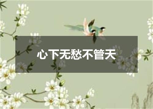 心下无愁不管天