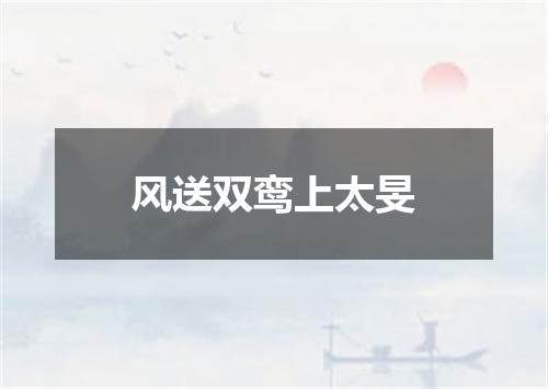 风送双鸾上太旻