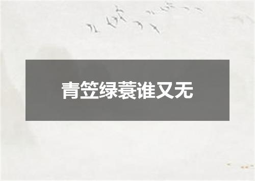 青笠绿蓑谁又无