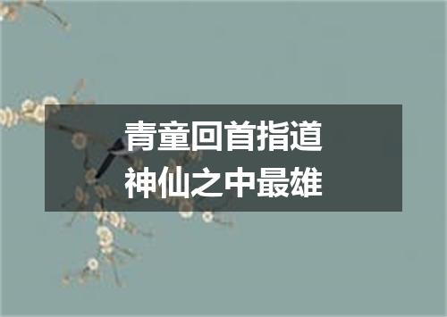 青童回首指道神仙之中最雄