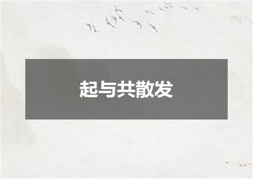 起与共散发