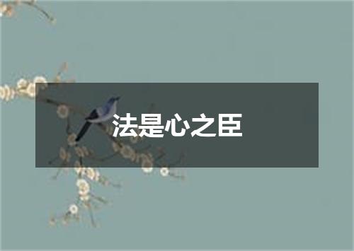 法是心之臣
