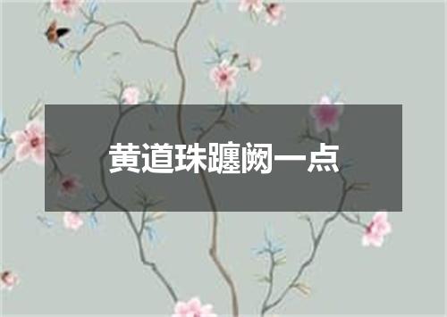 黄道珠躔阙一点