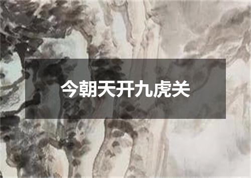 今朝天开九虎关