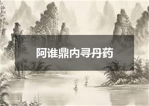 阿谁鼎内寻丹药
