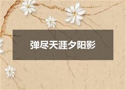 弹尽天涯夕阳影