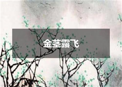 金茎露飞