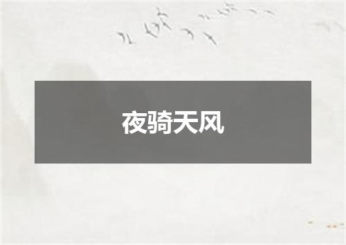 夜骑天风