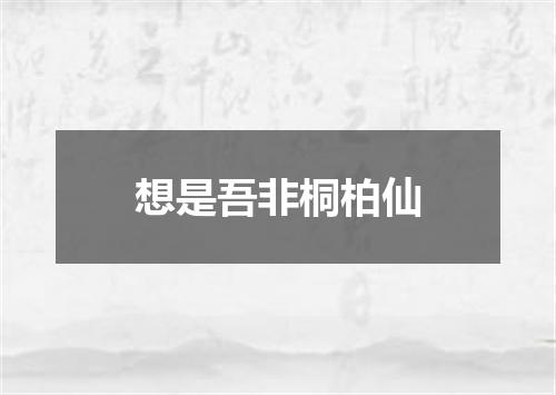 想是吾非桐柏仙