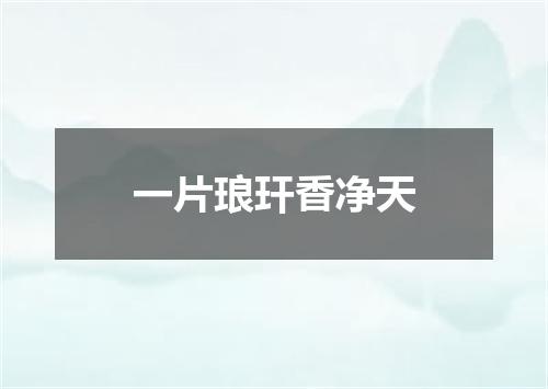 一片琅玕香净天