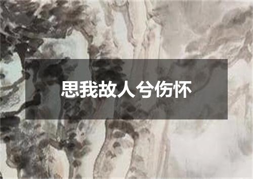 思我故人兮伤怀