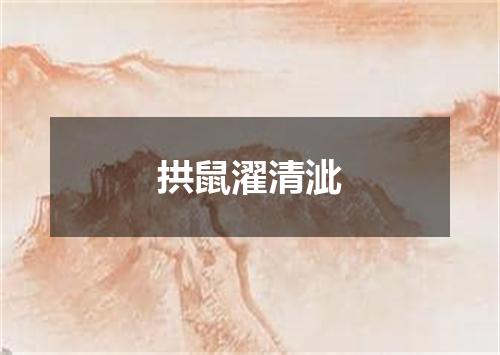 拱鼠濯清泚