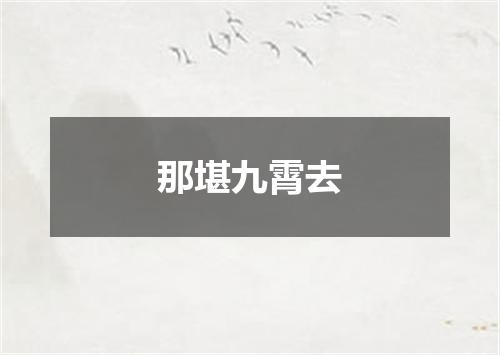 那堪九霄去