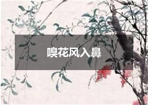嗅花风入鼻