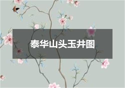 泰华山头玉井图