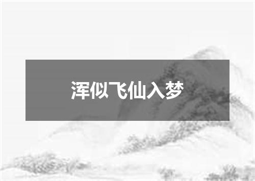 浑似飞仙入梦