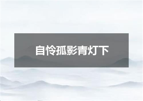 自怜孤影青灯下