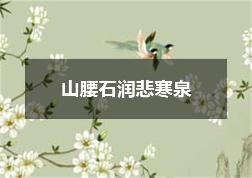 山腰石润悲寒泉