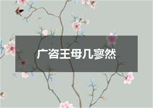广咨王母几寥然