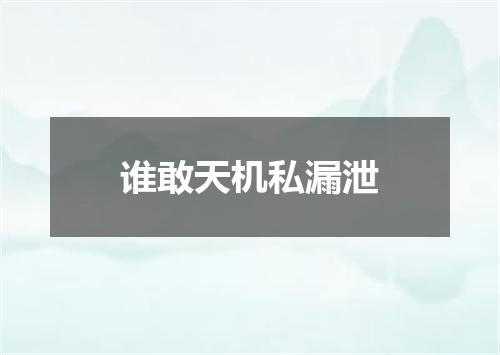 谁敢天机私漏泄