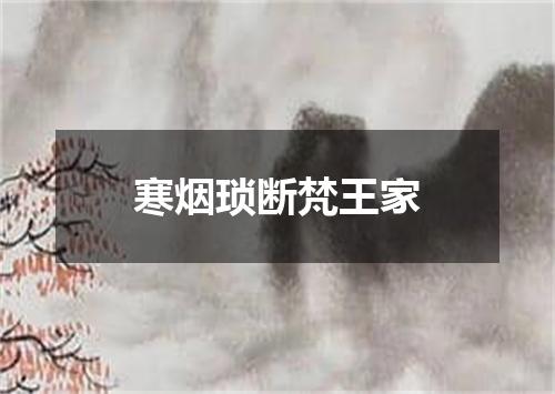 寒烟琐断梵王家