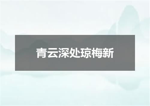 青云深处琼梅新