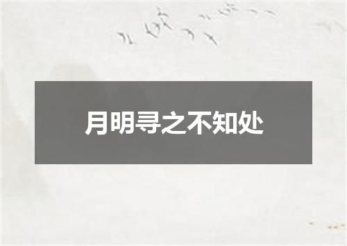 月明寻之不知处
