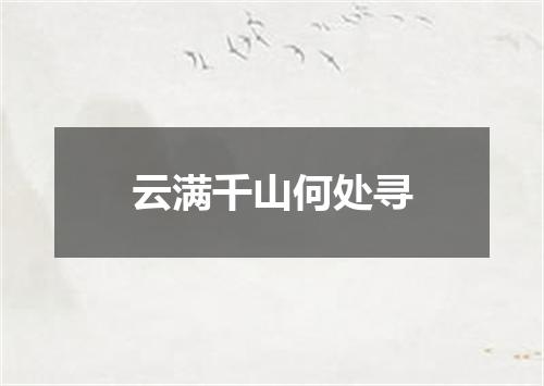 云满千山何处寻