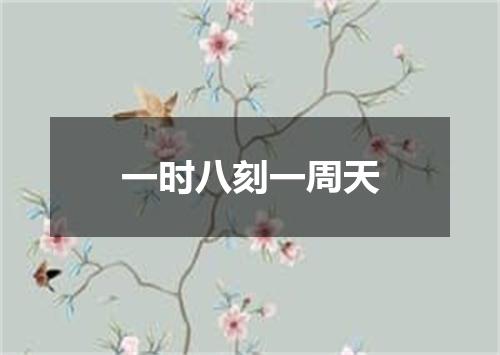一时八刻一周天