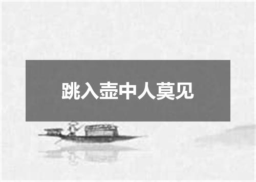 跳入壶中人莫见