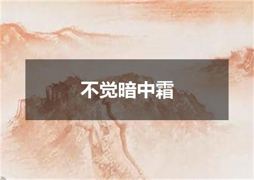 不觉暗中霜