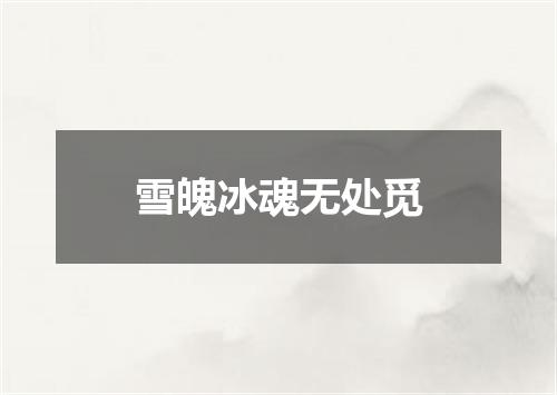 雪魄冰魂无处觅