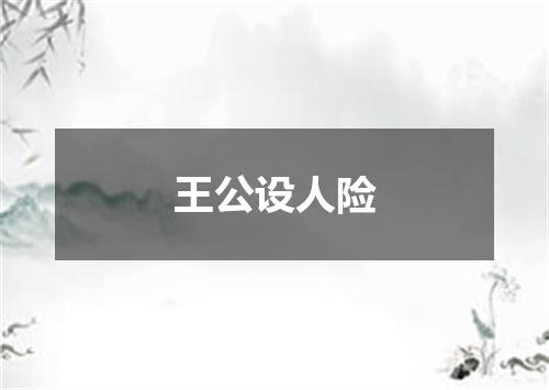 王公设人险